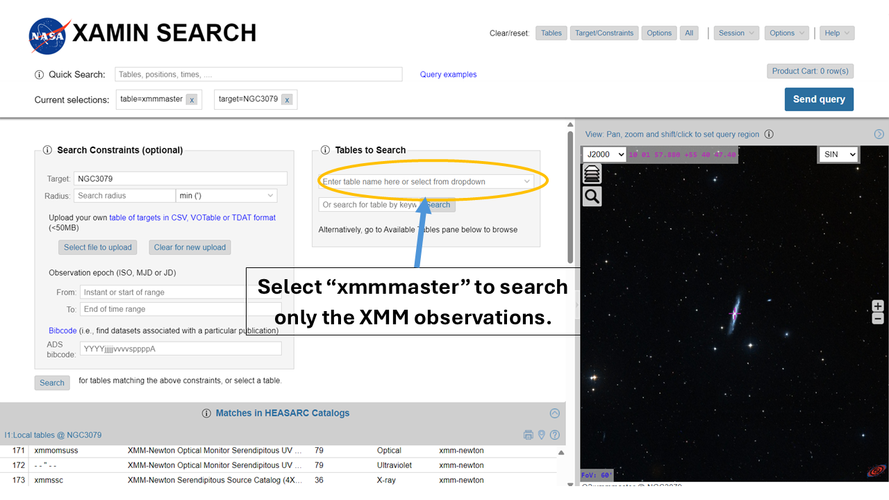The Xamin Interface